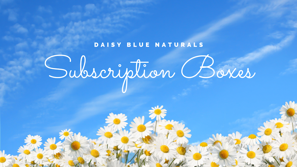 daisy blue quarterly subscription box