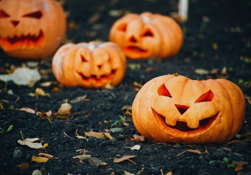 Four carved jack-o’-lantern pumpkins with various spooky faces sit on dark soil outdoors, surrounded by scattered autumn leaves, creating a festive Halloween atmosphere—perfect inspiration for DIY Halloween costumes.