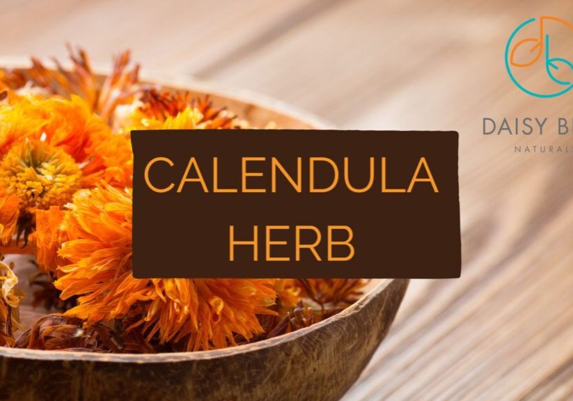 A wooden bowl filled with bright orange calendula flowers sits on a wooden surface. The text "CALENDULA HERB" is in the center, highlighting its timeless skincare benefits, with the Daisy Blue Naturals logo in the top right corner.