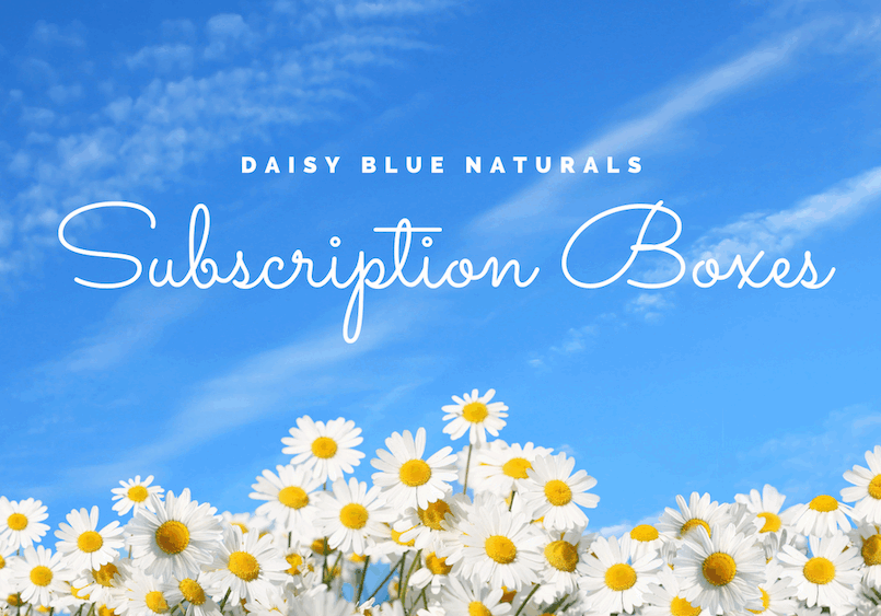 daisy blue quarterly subscription box