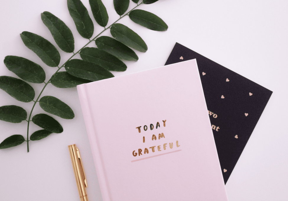 A pink gratitude journal with "Today I Am Grateful" in gold lettering, a gold pen, a black card with small gold hearts, and a green leafy branch arranged on a white surface—perfect for inspiring a better life.