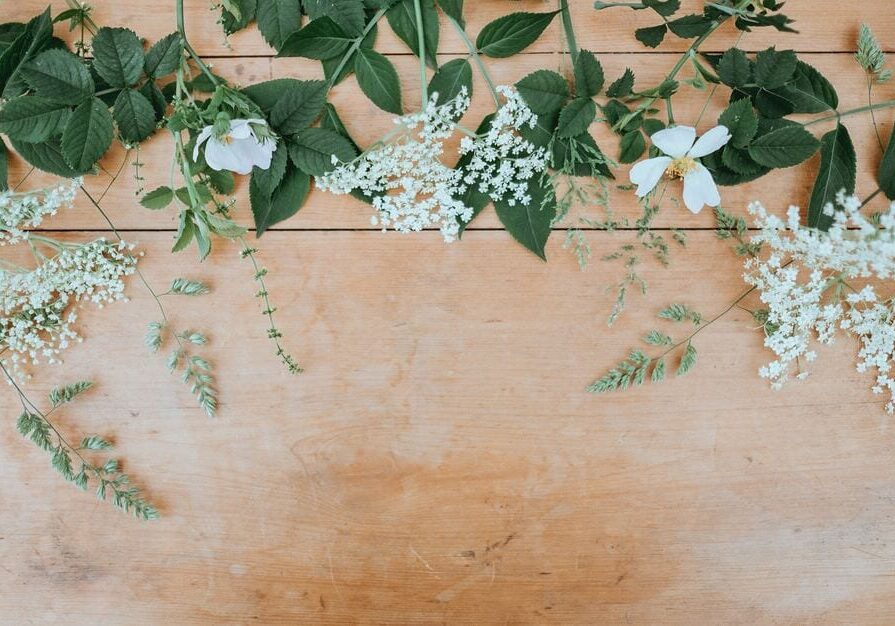 Green leaves, white flowers, and delicate sprigs of small white blossoms create a natural border atop a light wooden surface—perfect inspiration for Mother’s Day gifts or thoughtful gift ideas, with plenty of space below for your heartfelt message.