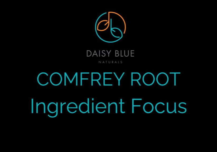 A black background features the Daisy Blue Naturals logo above the words “COMFREY ROOT Ingredient Focus” in teal, spotlighting comfrey root as the key ingredient.