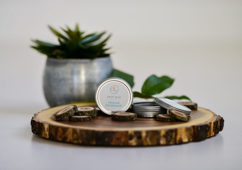 A small tin labeled "Natural Deodorant" by Daisy Blue Naturals sits open on a wooden slab, surrounded by similar tins. A potted succulent and green leaves accent the white surface, highlighting its fresh new look.