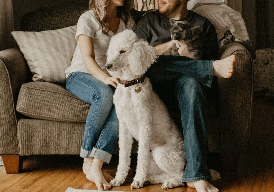 A couple sits closely on a couch, barefoot and casual, enjoying the company of their pets—a large white poodle at their feet and a small gray cat on the man's lap. The cozy living room is softly scented with essential oils.