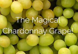 The Magical Chardonnay Grape